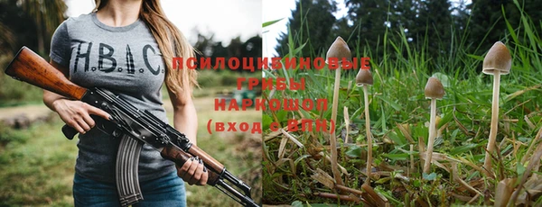 прущая мука Карпинск