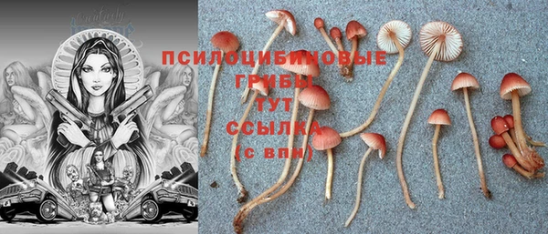 COCAINE Касимов