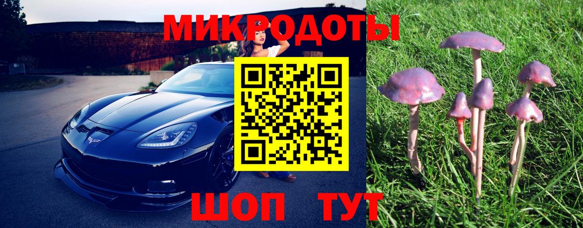 Галлюциногенные грибы Magic Shrooms Чапаевск