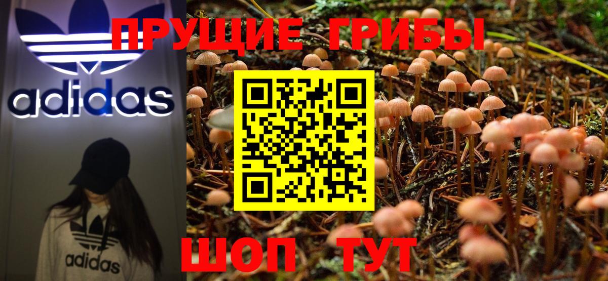 Чапаевск  Галлюциногенные грибы Cubensis  Псилоцибиновые грибы GOLDEN TEACHER  Вход с VPN 